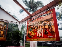 clear top tent rental