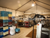 Tent Rental
