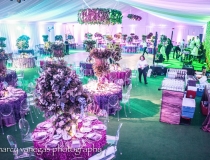 Tent Rental Fisher Island