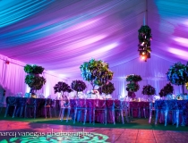 Fisher Island Event Rentals