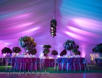 Fisher Island Tent Rental