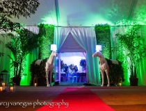 Tent Rental Fisher Island