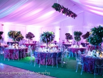 Fisher Island Tent Rental