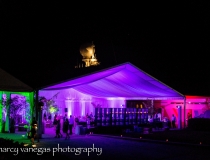 Fisher Island Event Rentals