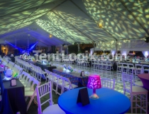 Party Rentals, Tampa FL