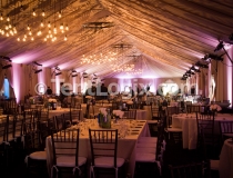 Fort Lauderdale Tents