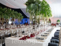 wedding-tent-rental-tampa-03