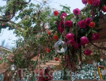clear-wedding-tent-rental-02