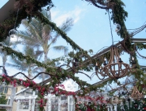 clear-wedding-tent-rental-03