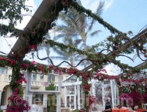 clear-wedding-tent-rental-04