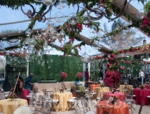 clear-wedding-tent-rental-05