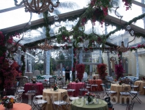 clear-wedding-tent-rental-07