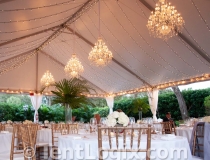restaurant-tent-gallery-8