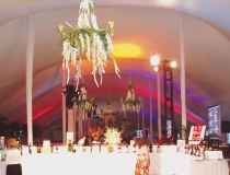 Century Tent Rental
