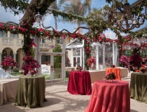 Clear Tent Rental