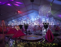 Ft. Lauderdale MODS Gala